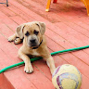 Meet your Posher, Danielle